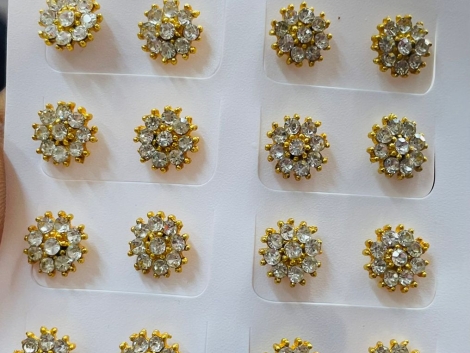 WhatsApp Image 2026-02-01 at 12.22.55 PM